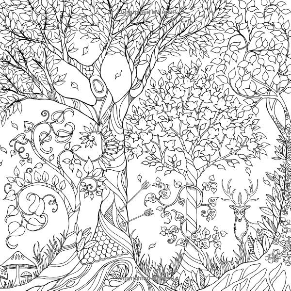 Enchanted Forest Adult Coloring Book
 Enchanted Forest An Inky Quest & Coloring Book Johanna
