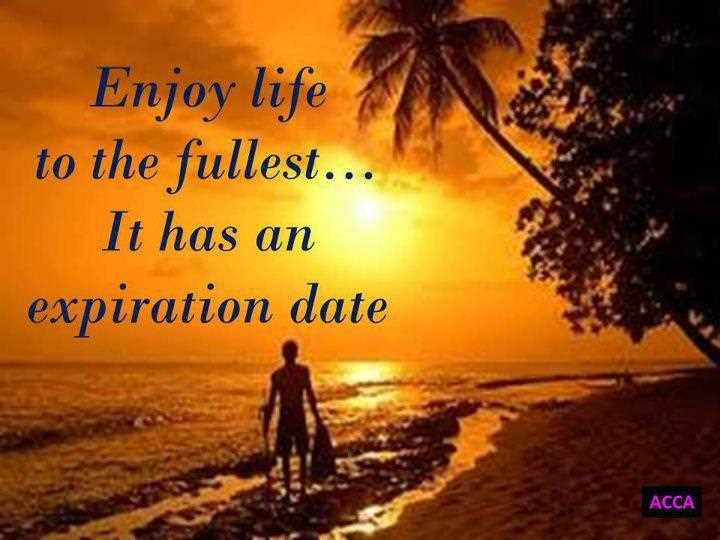 Enjoy Your Life Quote
 Famous Quotes About Enjoying Life QuotesGram