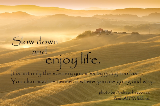 Enjoy Your Life Quote
 Slow Down And Enjoy Life Happiness Quote