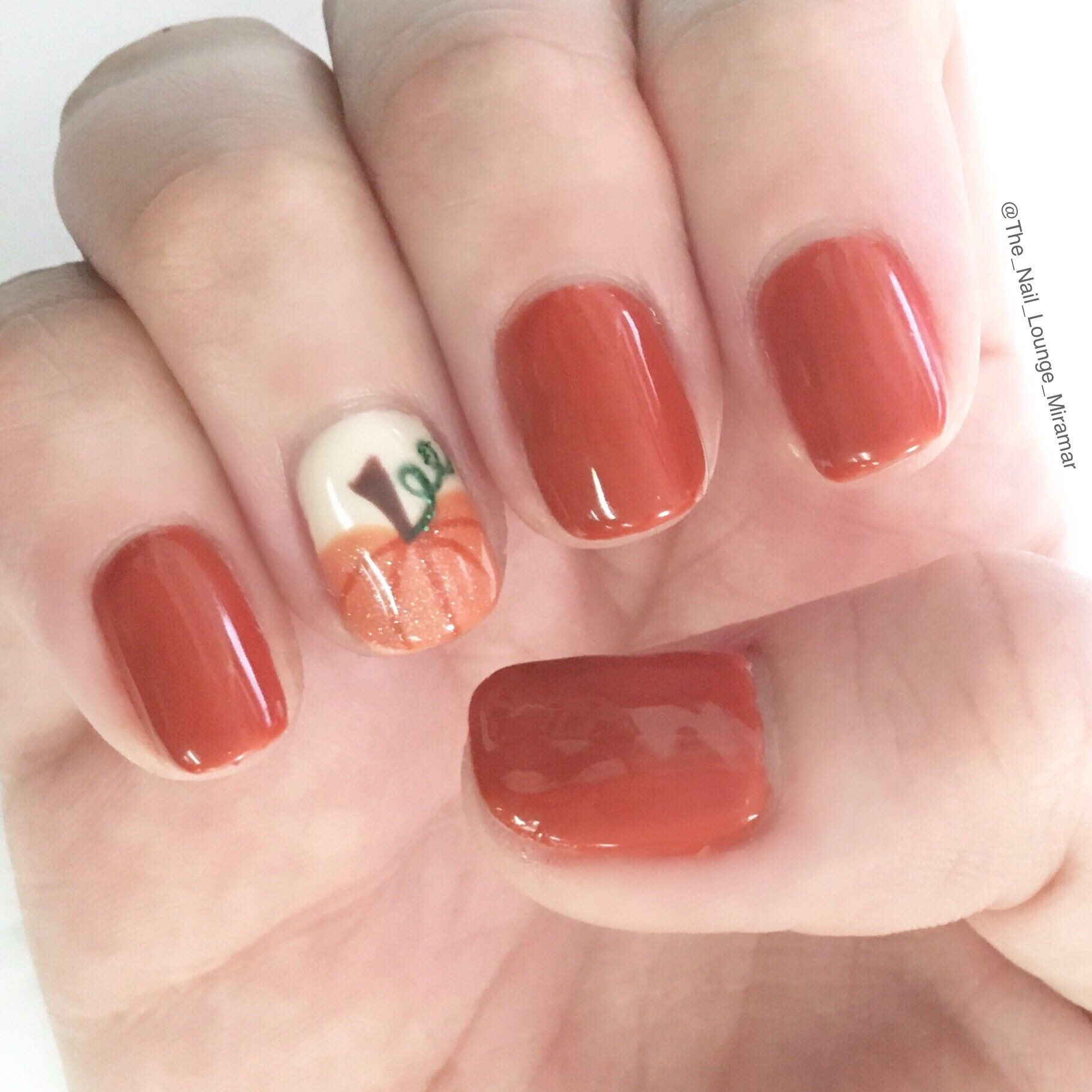 Fall Gel Nail Colors
 The Best Thanksgiving Nail Art