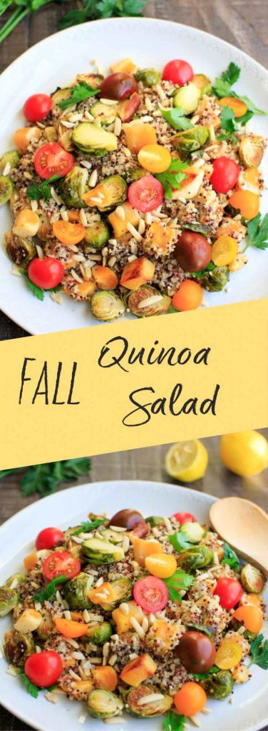 Fall Quinoa Salad
 Fall Quinoa Salad with Squash and Brussels Sprouts Trial