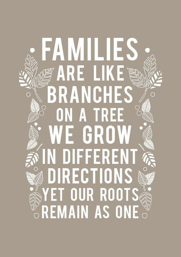 Family Time Quotes
 Family Quotes 167 Short Love My Family Sayings