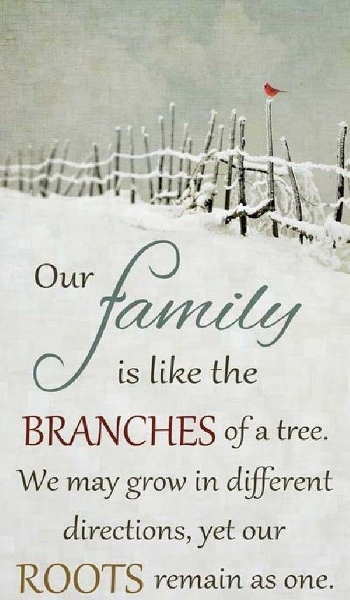 Family Time Quotes
 Family Spending Time To her Quotes QuotesGram