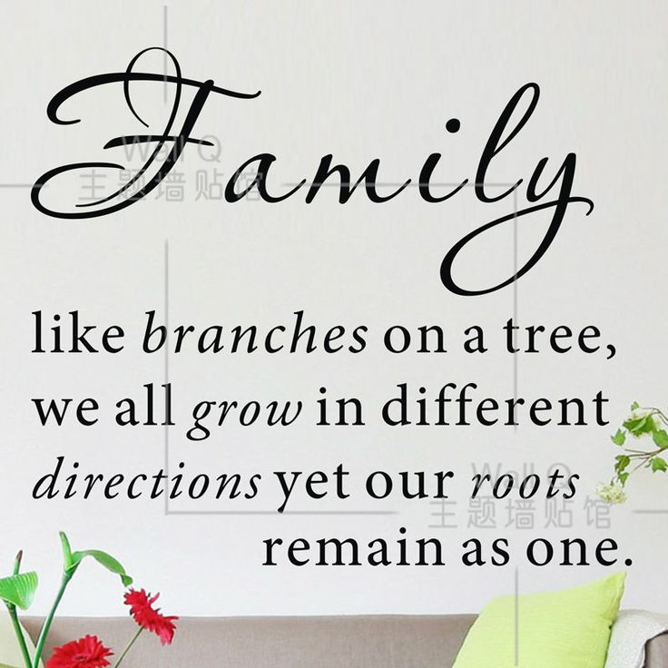 Family Tree Quotes
 Funny Quotes About Family Trees QuotesGram