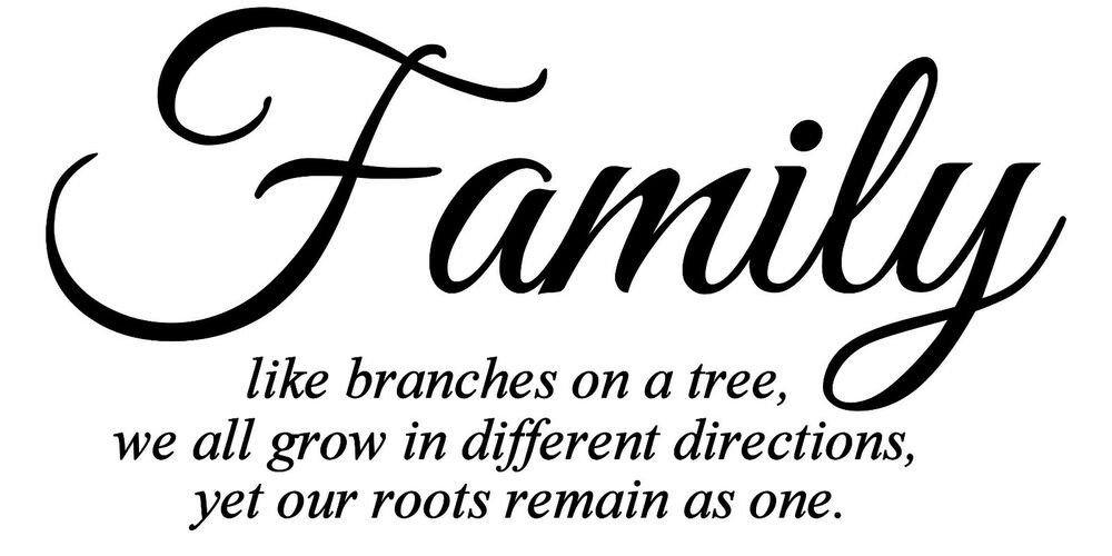Family Tree Quotes
 Family Like Branches on A Tree Vinyl Wall Art Quote Words