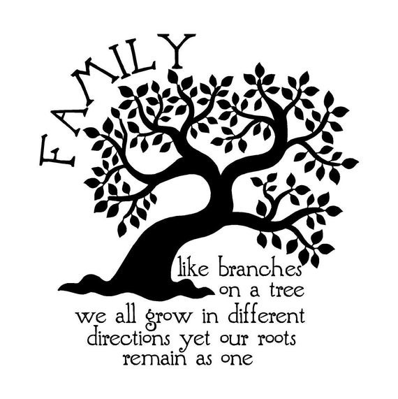 Family Tree Quotes
 NEW Family Like Branches A Tree We All Grow by