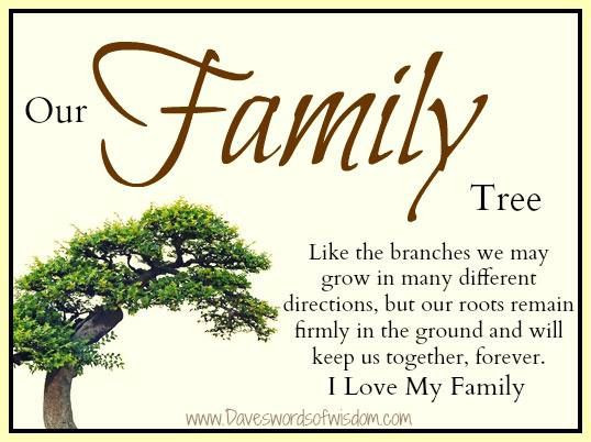 Family Tree Quotes
 Family Tree Quotes Poems QuotesGram