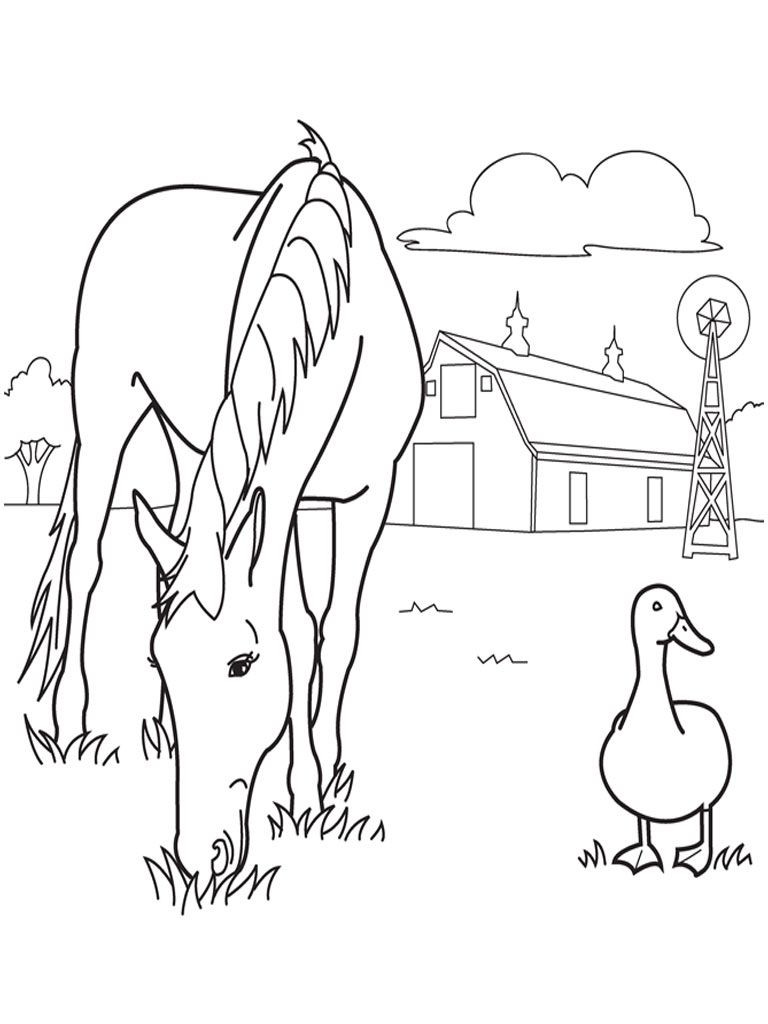 Farm Coloring Pages For Kids
 Free Printable Horse Coloring Pages For Kids