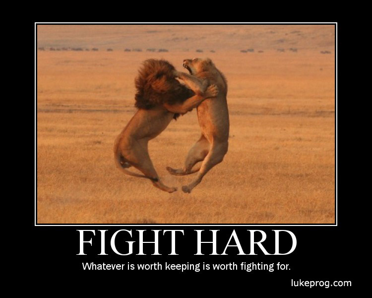 Fighter Motivational Quotes
 Inspirational Quotes To Keep Fighting QuotesGram