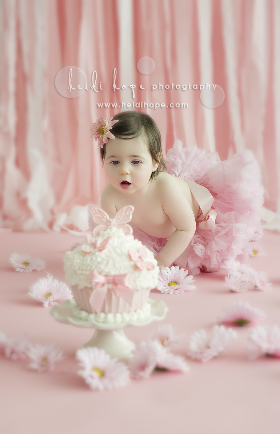 First Birthday Smash Cake
 Baby O turns 1 year old Rhode Island and Central