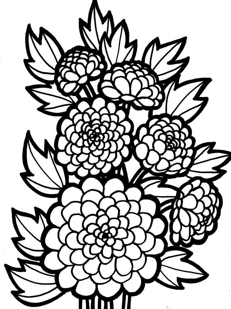 Flower Coloring Pages For Girls
 Chrysanthemum coloring pages to and print for free