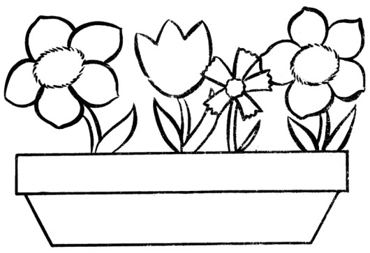 Flower Coloring Pages For Girls
 Lily Pad Flower Coloring Pages Flower Coloring Pages
