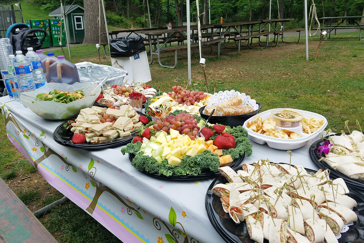 Food Ideas For Outdoor Party
 Birthday Parties