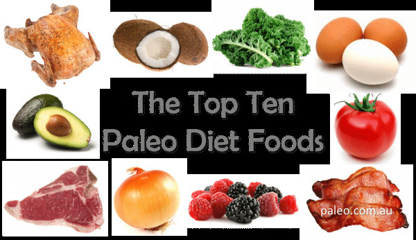 Foods In The Paleo Diet
 Is the Paleo Diet a Good Fit for Bodybuilders