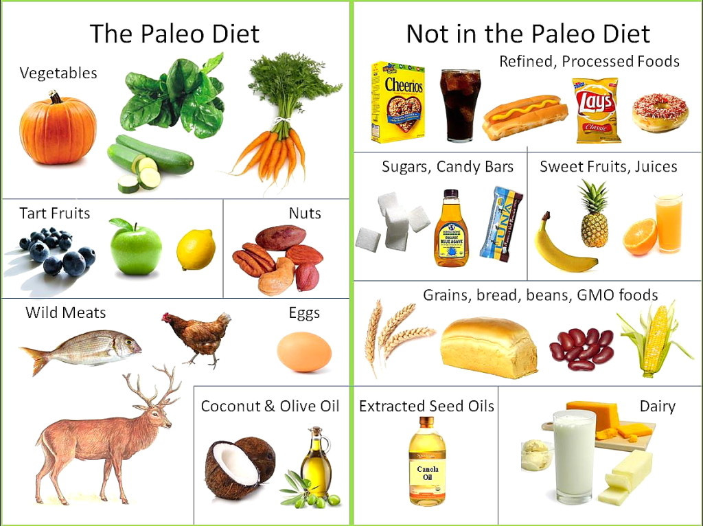 Foods In The Paleo Diet
 Explain paleo and low residue ts Crohn s Disease