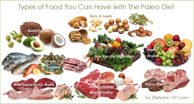 Foods In The Paleo Diet
 IDA PALEO Bem Vindos ao blog ida Paleo