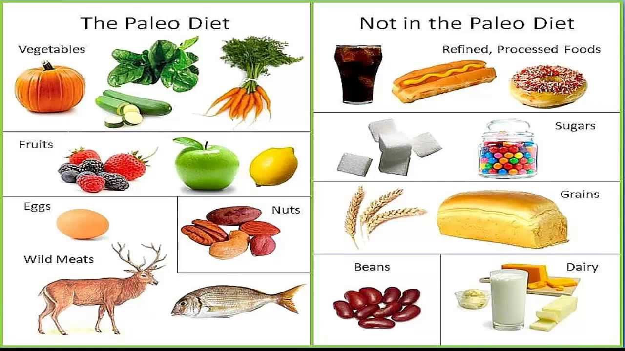 Foods In The Paleo Diet
 Paleo Diet what is it should you try it Level 9 Fitness