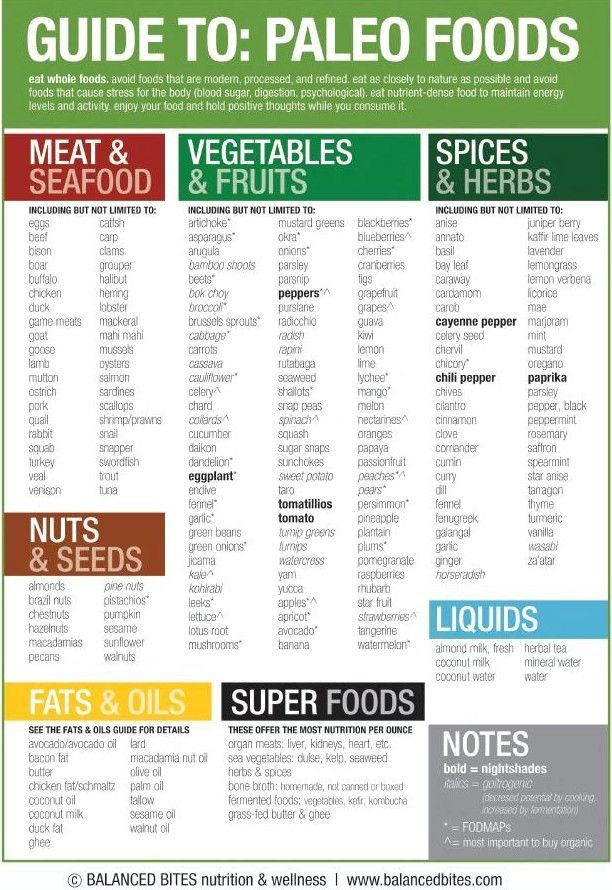 Foods In The Paleo Diet
 Your Paleo Food guide