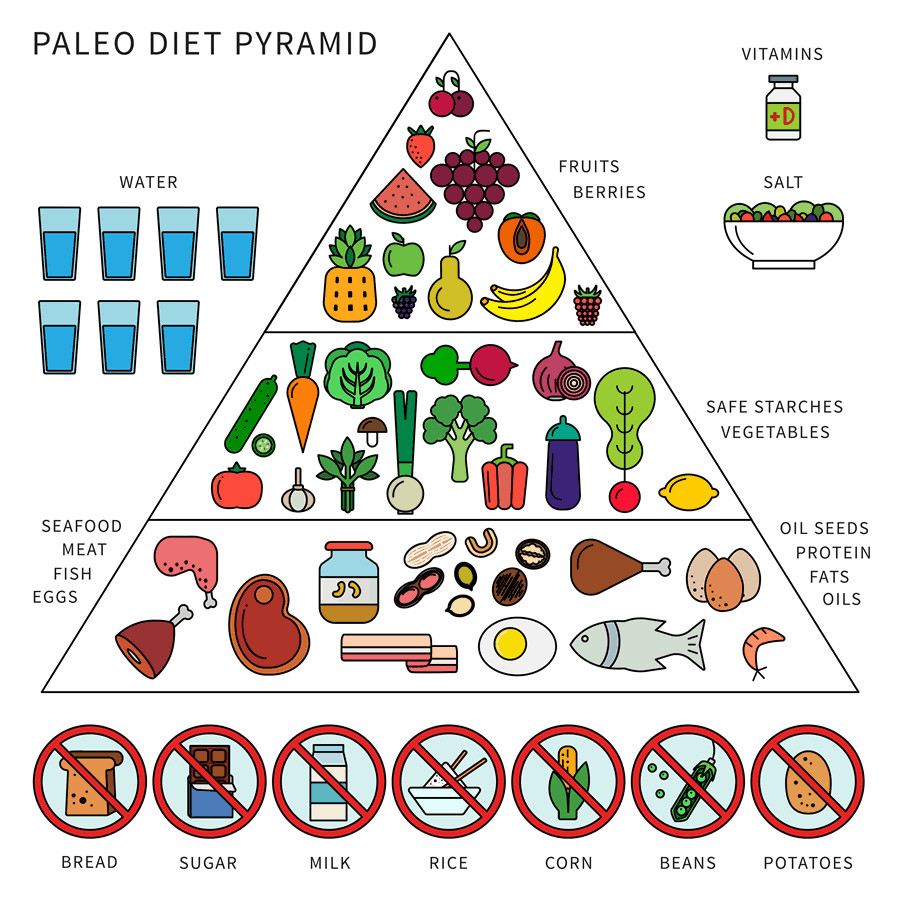 Foods In The Paleo Diet
 What Is The Paleo Diet