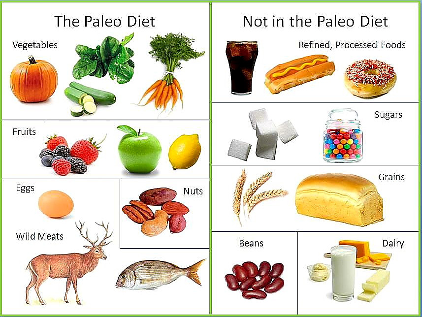 Foods In The Paleo Diet
 Paleo t borrows eating style from Paleolithic times