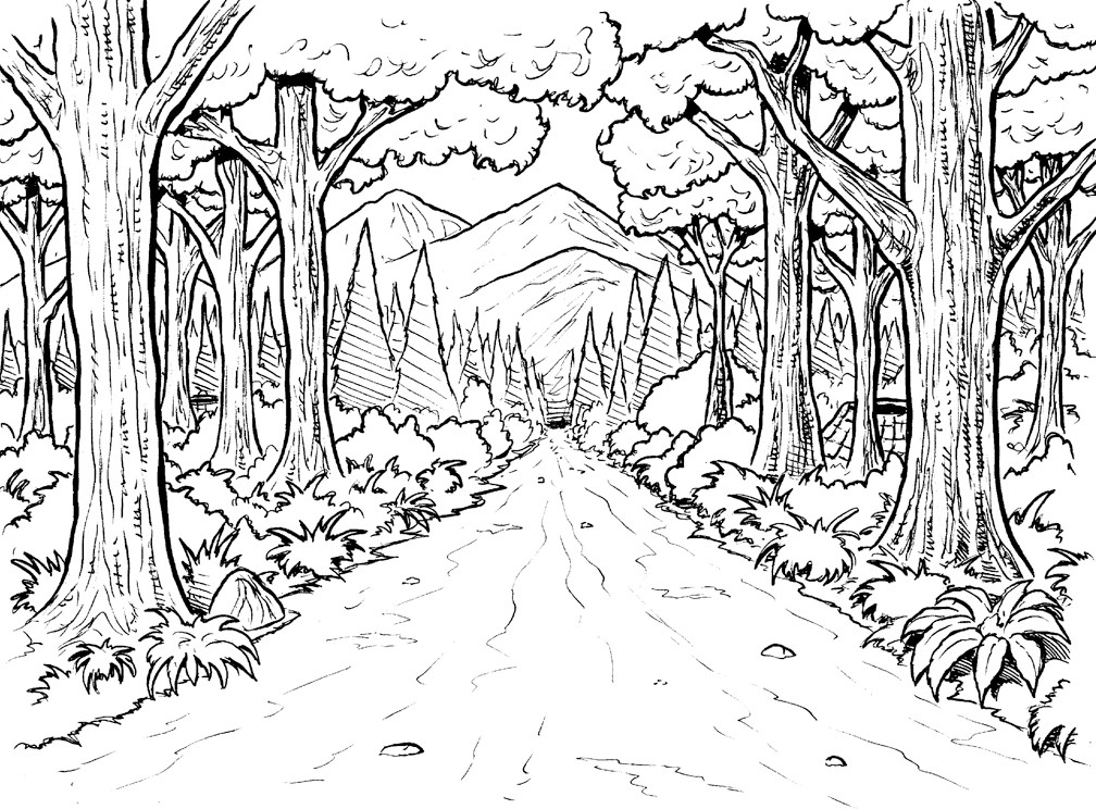 Forest Coloring Pages For Adults
 Free Rainforest Coloring Pages Free Coloring Pages