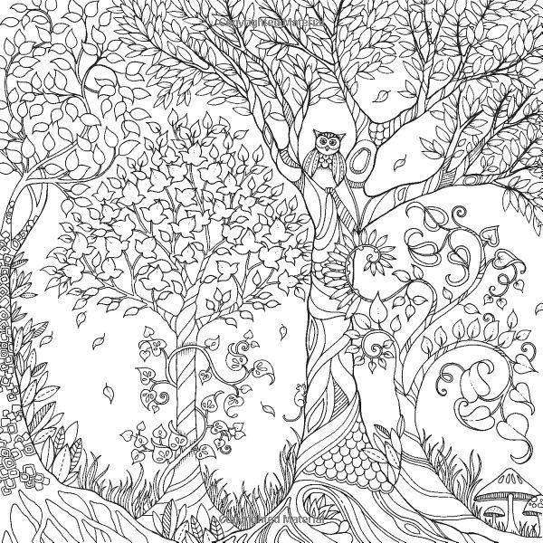 Forest Coloring Pages For Adults
 12 Pics of Enchanted Forest Coloring Book Pages Owl