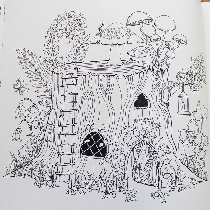 Forest Coloring Pages For Adults
 Enchanted Forest An Inky Quest & Coloring Book Johanna