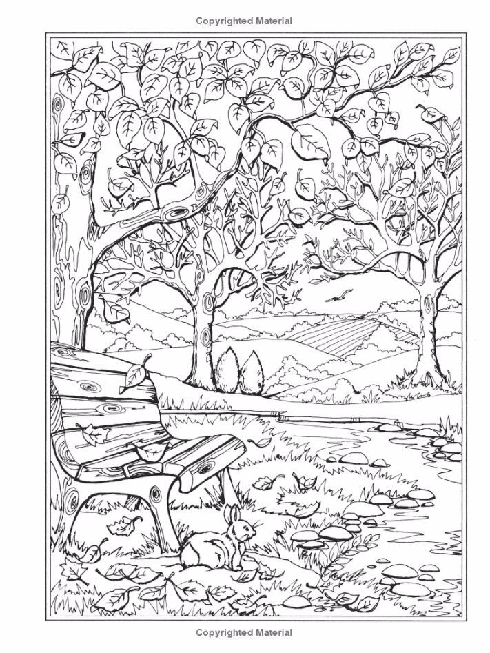 Forest Coloring Pages For Adults
 2536 best Printable grayscale coloring pages images on