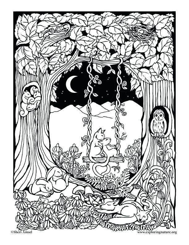 Forest Coloring Pages For Adults
 Enchanted Forest Drawing at GetDrawings