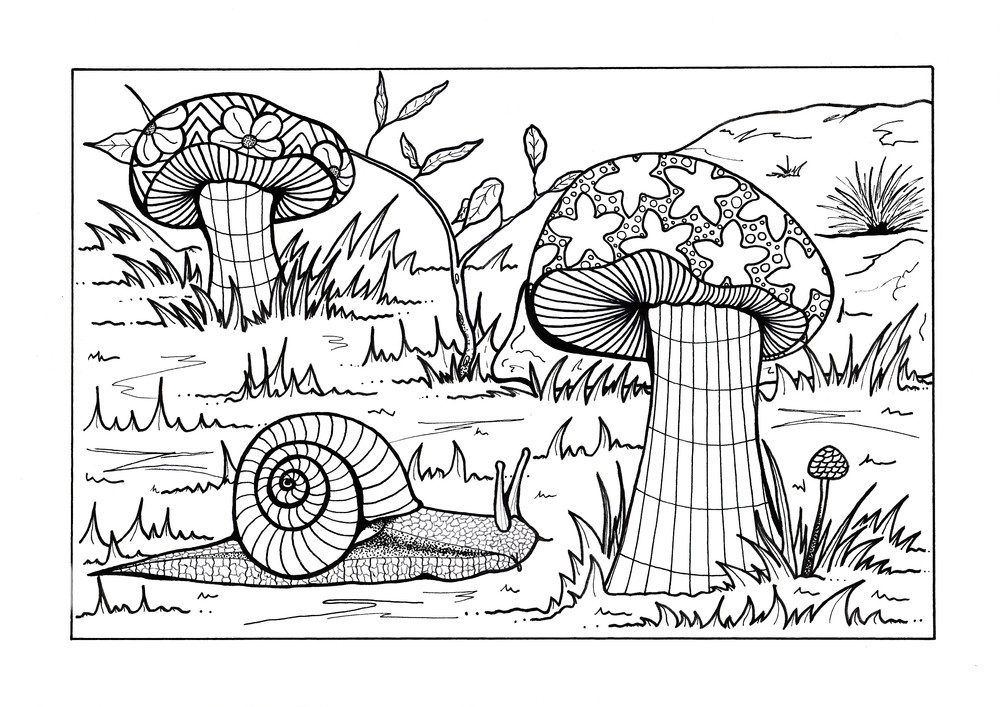 Forest Coloring Pages For Adults
 Forest Floor Adult Coloring Page