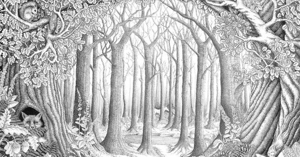 Forest Coloring Pages For Adults
 Inspirational coloring pages from Secret Garden Enchanted