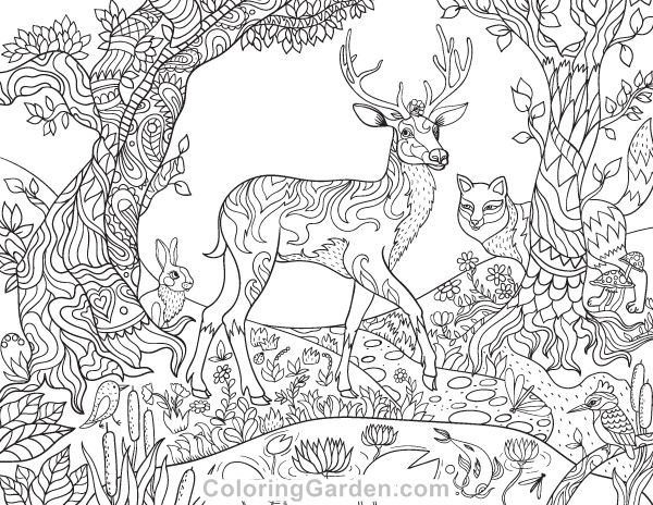 Forest Coloring Pages For Adults
 Pin by Muse Printables on Adult Coloring Pages at