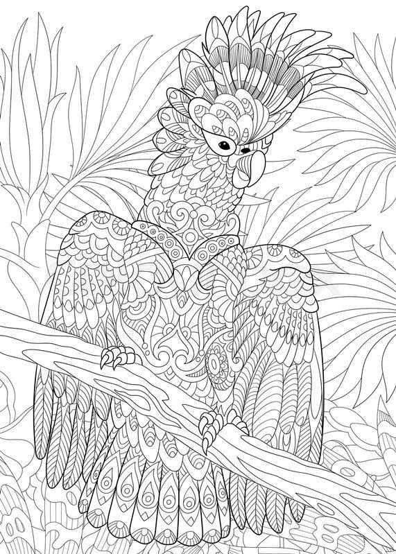 Forest Coloring Pages For Adults
 702 best images about Animal Coloring Pages for Adults on