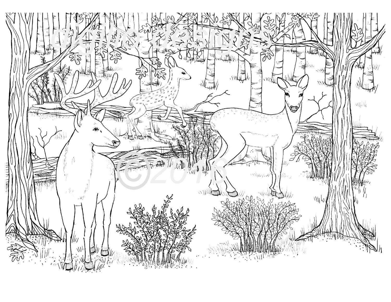 Forest Coloring Pages For Adults
 Adult Coloring Page Deer Woodland Forest Deer in the Dell Wall