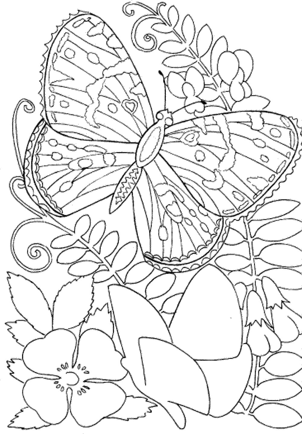 Free Coloring Pages For Adults Printable
 Free Owl Adult Coloring Pages To Print Coloring Home