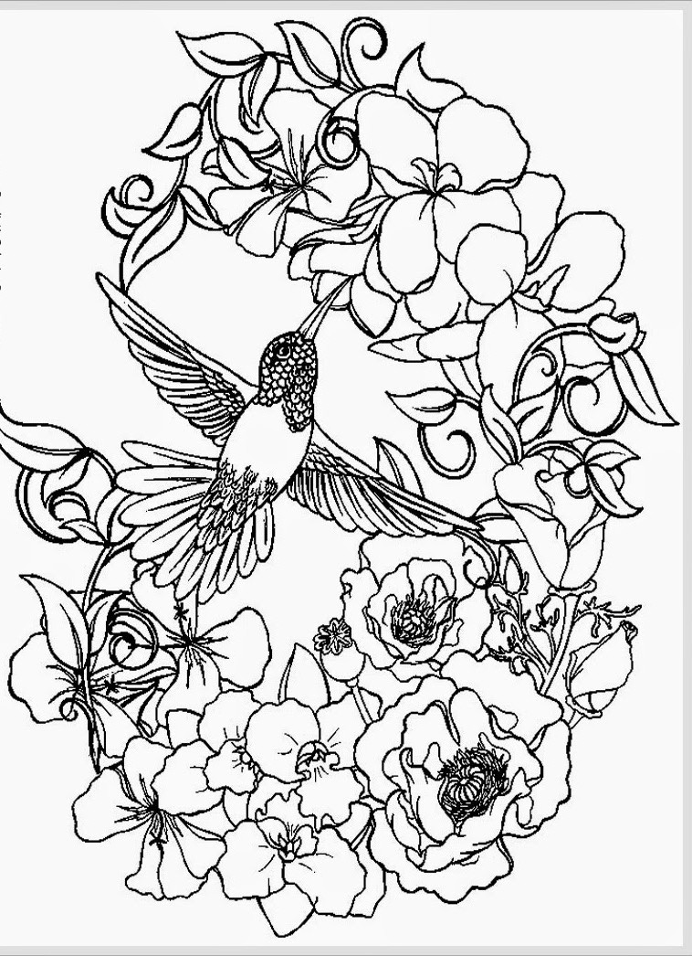 Free Coloring Pages For Adults Printable
 Awesome Adult Coloring Coloring Pages
