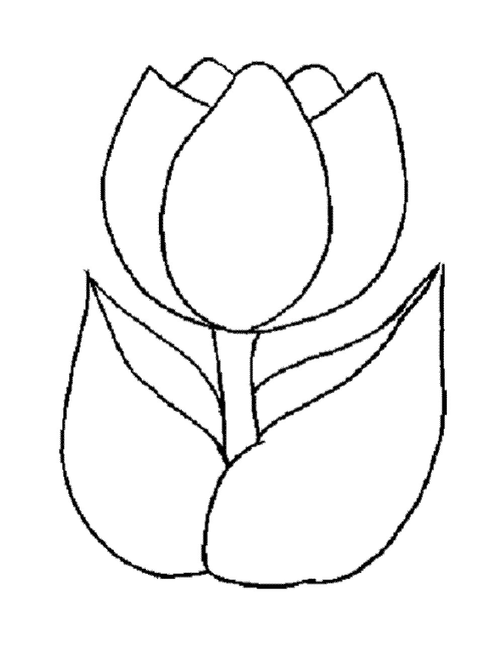 Free Coloring Pages For Girls Flowers
 Print & Download Some mon Variations of the Flower