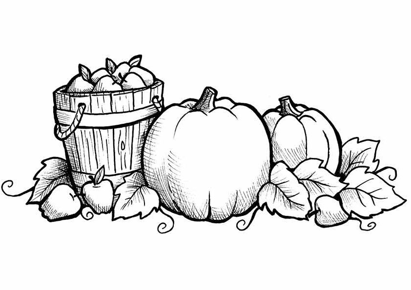 Free Fall Coloring Pages For Kids
 Free Printable Fall Coloring Pages for Kids Best