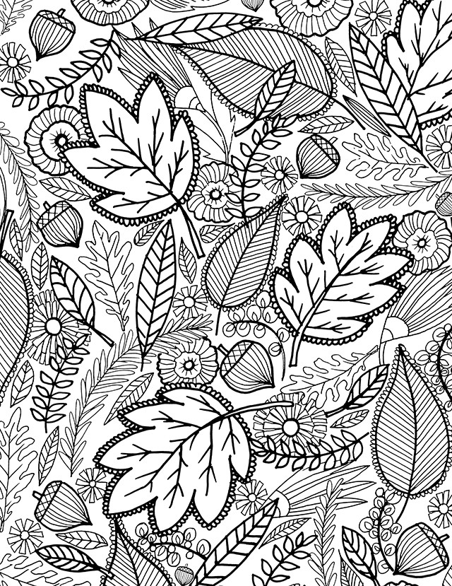 Free Fall Printable Coloring Pages
 alisaburke a FALL coloring page for you