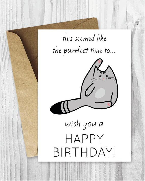 Free Funny E Birthday Cards
 Funny Birthday Cards Printable Birthday Cards Funny Cat