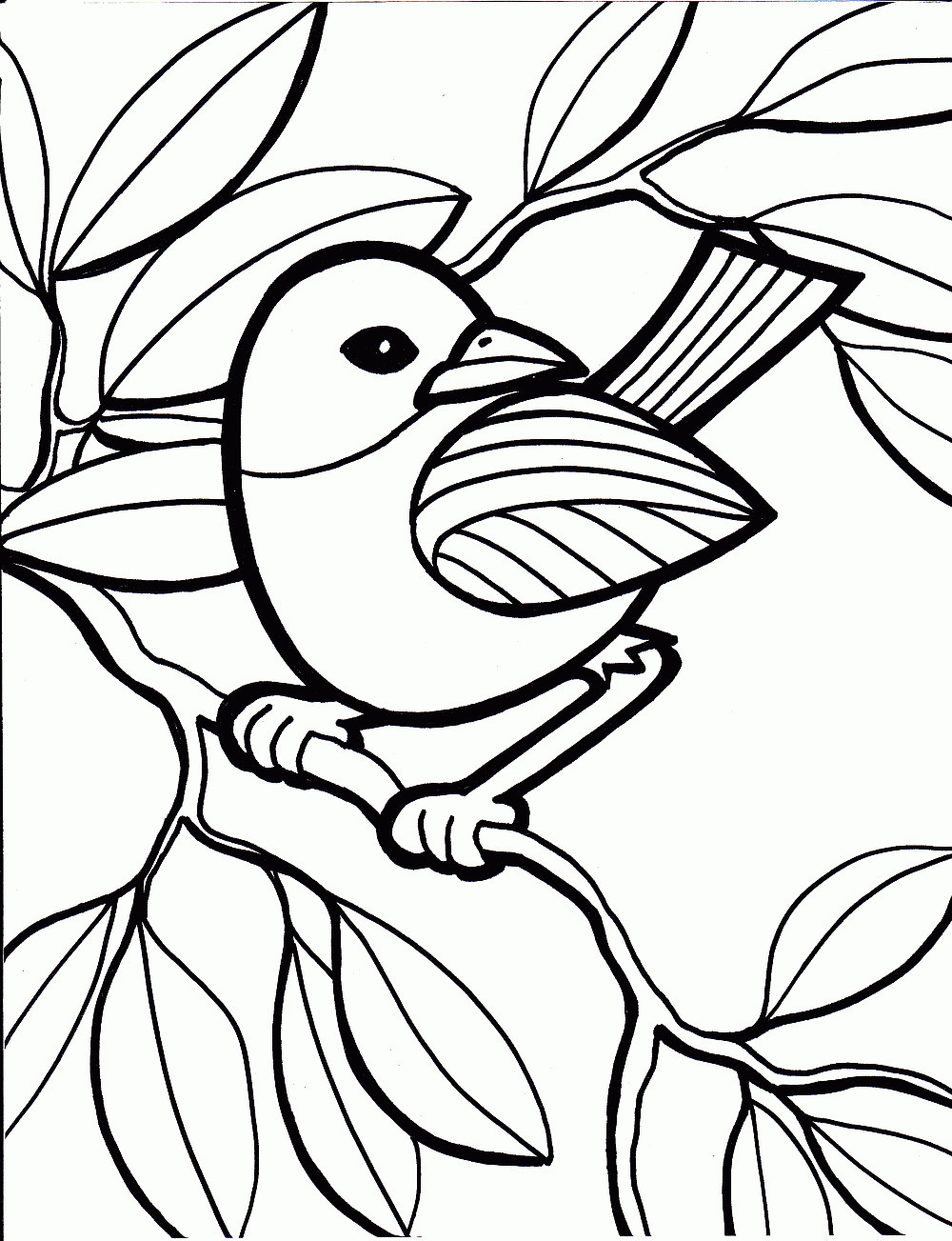 Free Printable Bird Coloring Pages
 Bird Coloring Pages