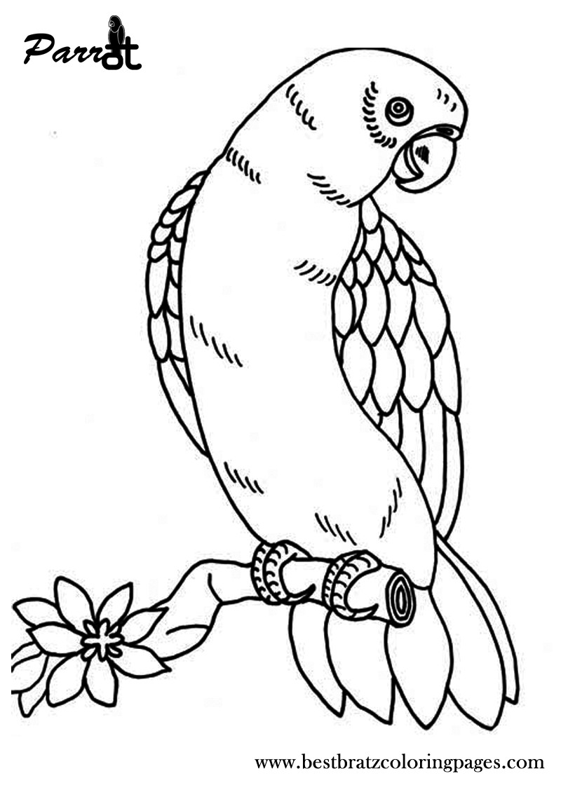 Free Printable Bird Coloring Pages
 Free Printable Parrot Coloring Pages For Kids