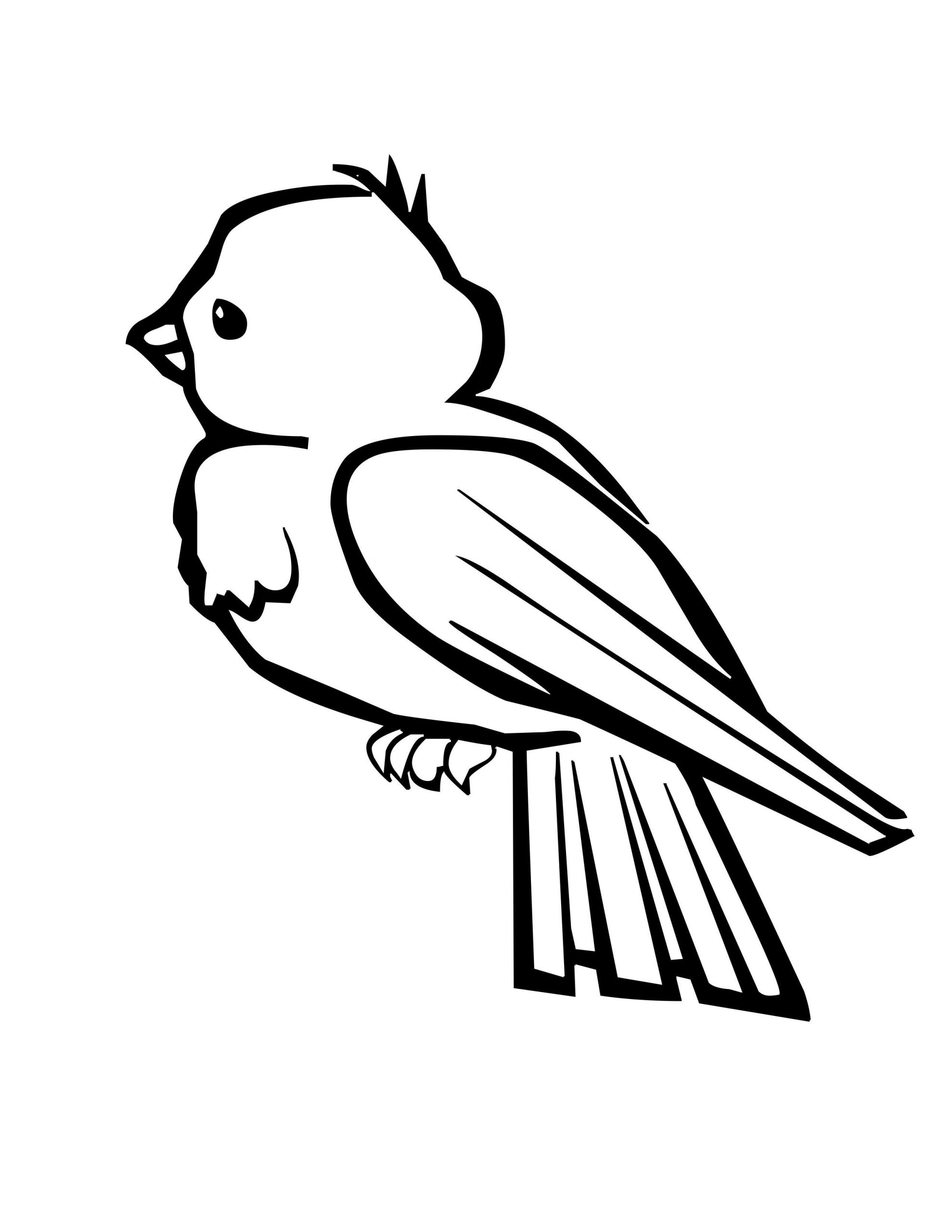 Free Printable Bird Coloring Pages
 Bird Coloring Pages