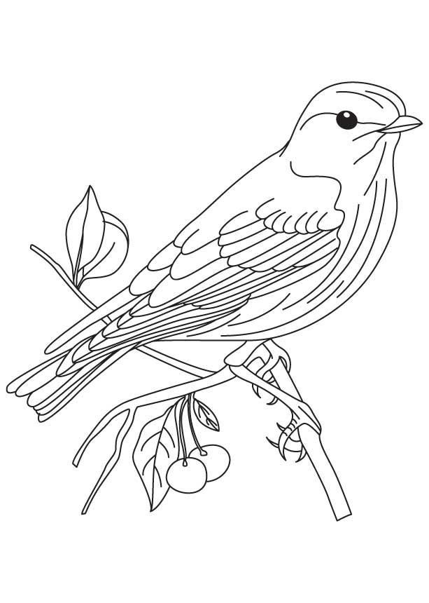 Free Printable Bird Coloring Pages
 Blue Bird Cartoon AZ Coloring Pages