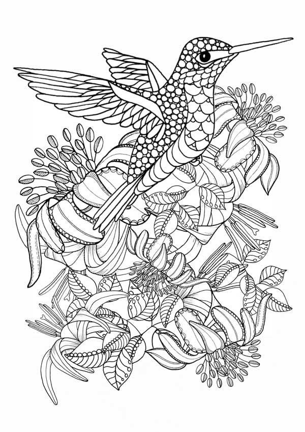 Free Printable Bird Coloring Pages
 Hummingbird Printable Coloring Pages Digital of