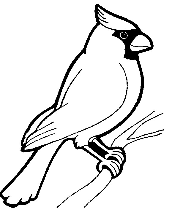 Free Printable Bird Coloring Pages
 Birds Coloring Pages