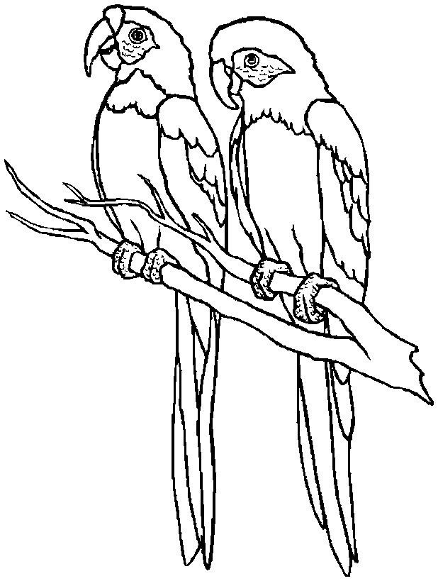 Free Printable Bird Coloring Pages
 Kids Page Birds Coloring Pages