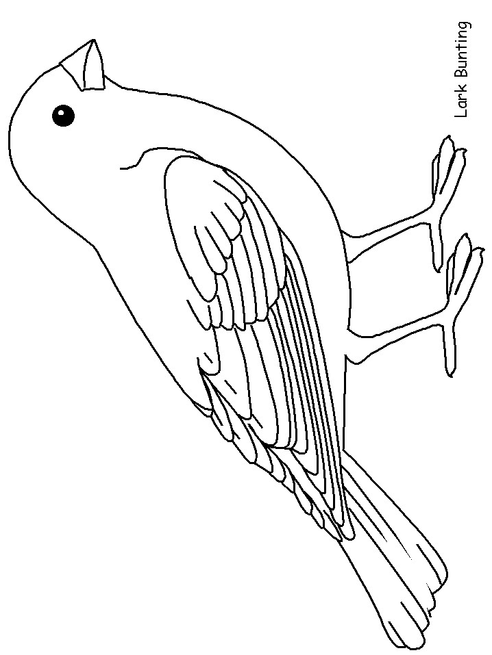 Free Printable Bird Coloring Pages
 template
