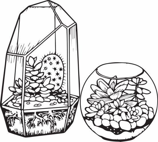 Free Printable Cactus Coloring Pages
 Cactus and Succulent Printable Adult Coloring Pages