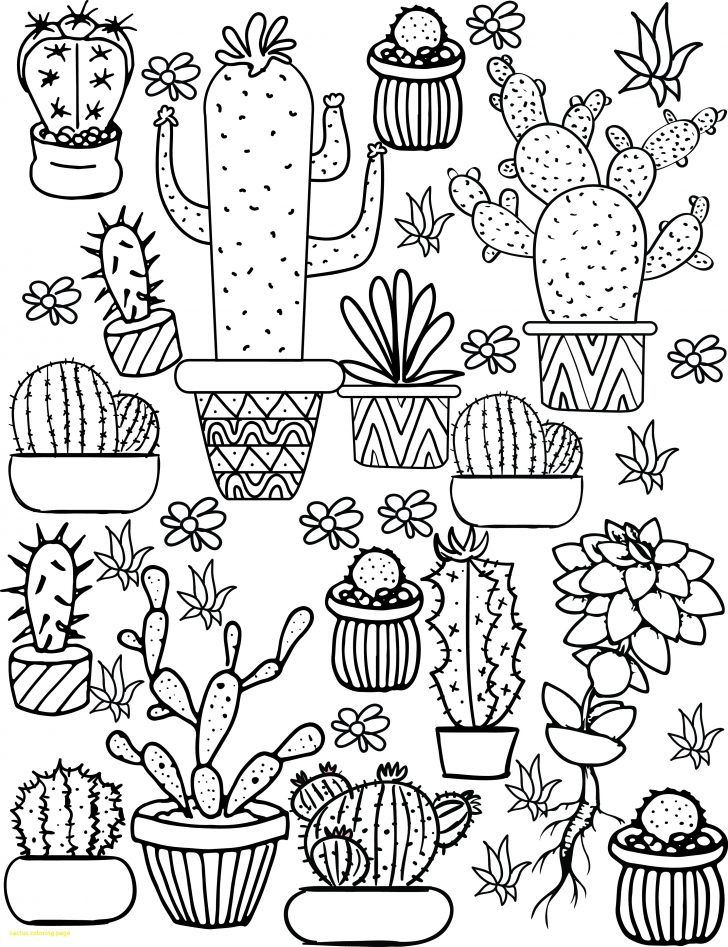 Free Printable Cactus Coloring Pages
 Cactus Coloring Page with Cactus Coloring Sheet 4100